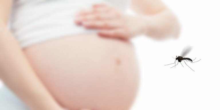 Repelentes seguros para gestantes: o que você precisa saber?