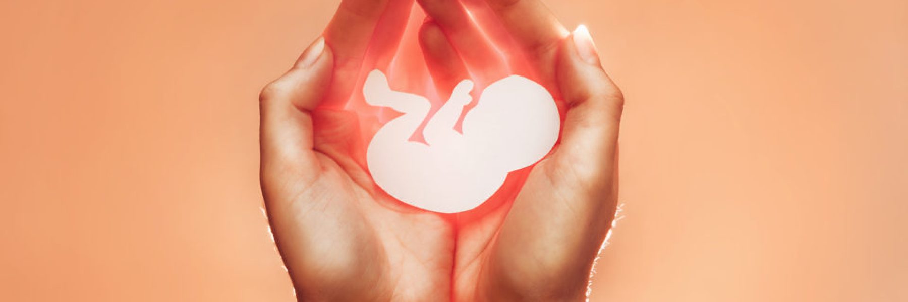 White paper embryo rest in hands of African-American or Asian woman. Soft focus. Orange background with the light from below. Pregnancy, contraceptive and abortion