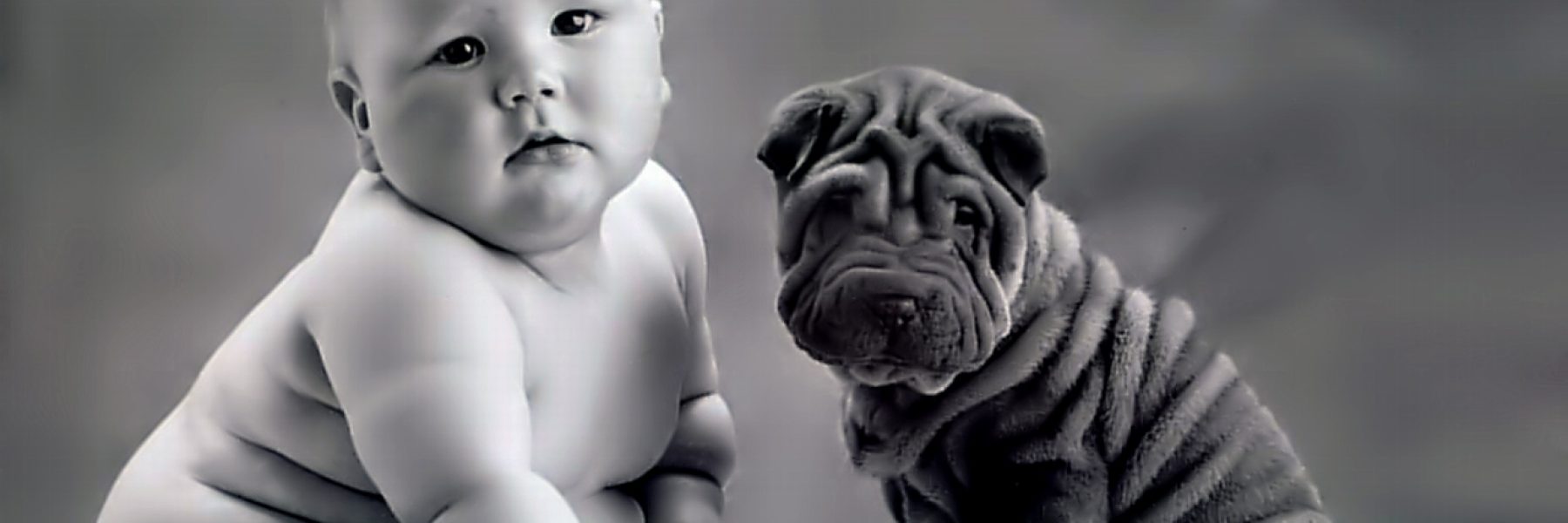 bebe-e-cachorro--anne-geddes_6217_1280x960