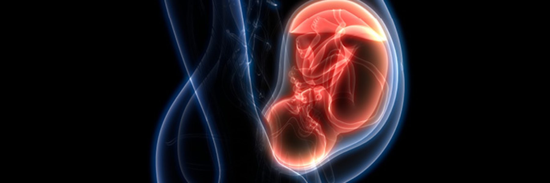regenesis-mulher-e-gestacao-placenta-1